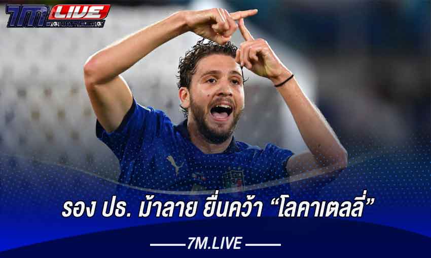 ม้าลายรุกคืบ